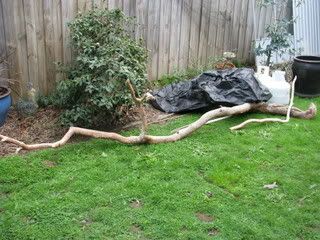 IMG_05211.jpg