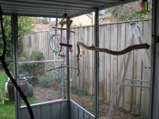 IMG_05251.jpg