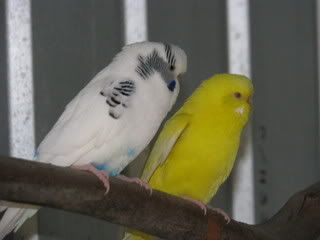 IMG_05371.jpg