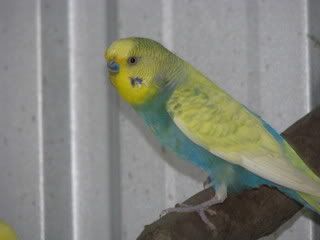 IMG_05401.jpg