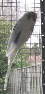 IMG_05411.jpg