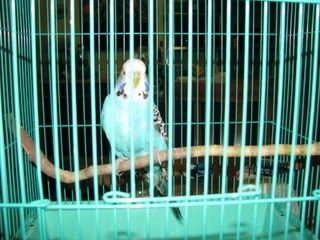 IMG_05581.jpg