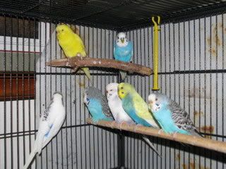 IMG_06051.jpg