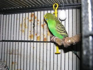 IMG_06061.jpg
