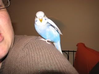 IMG_06181.jpg