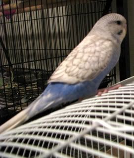 IMG_06351.jpg