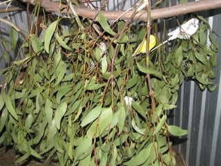 IMG_06371.jpg