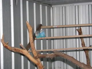 IMG_06381.jpg