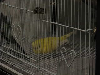IMG_06521.jpg