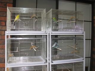 IMG_06631.jpg