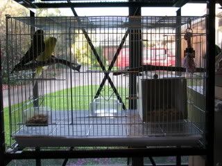 IMG_06661.jpg