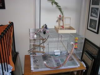 IMG_06711.jpg