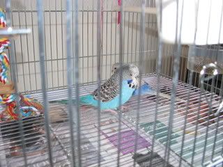 IMG_06721.jpg