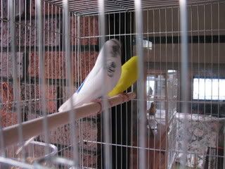 IMG_0683.jpg