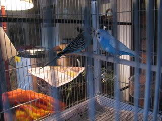 IMG_0685.jpg