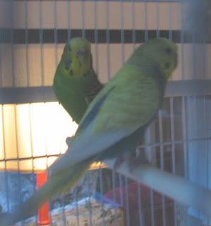 IMG_0689.jpg