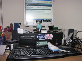 IMG_07091.jpg