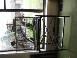 IMG_07421.jpg
