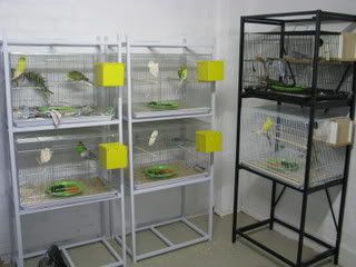 IMG_07431.jpg