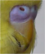 photo-1.jpg