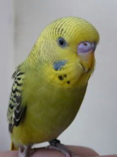 photo.jpg