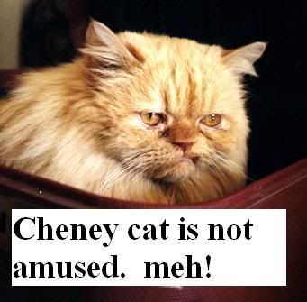 cheneycat.jpg