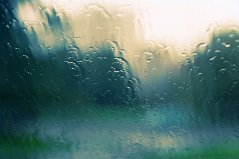 IMAGE: http://img.photobucket.com/albums/v615/beanzzzz/IMG_0486copy.jpg