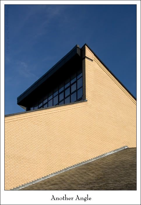 IMAGE: http://img.photobucket.com/albums/v615/beanzzzz/looking_up_web2copy.jpg