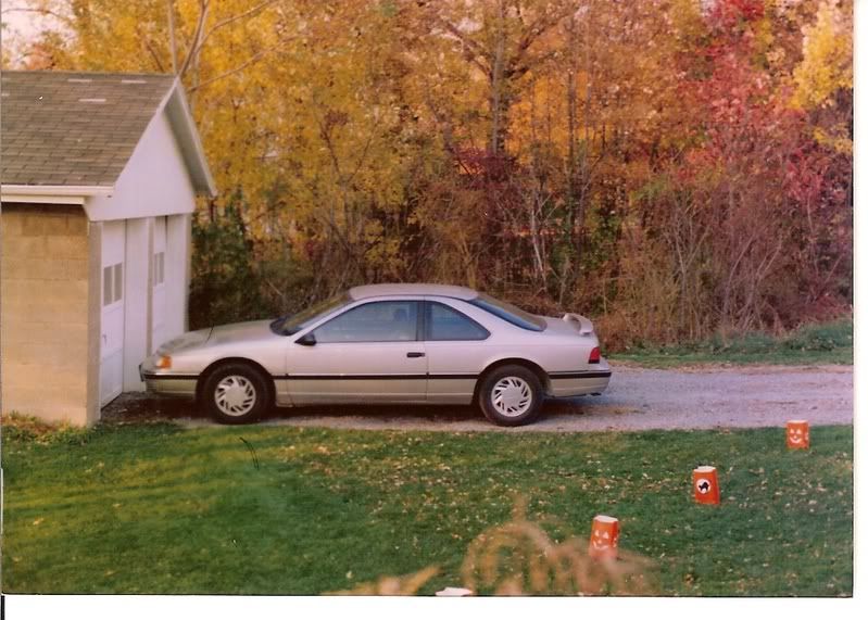 T-Bird.jpg