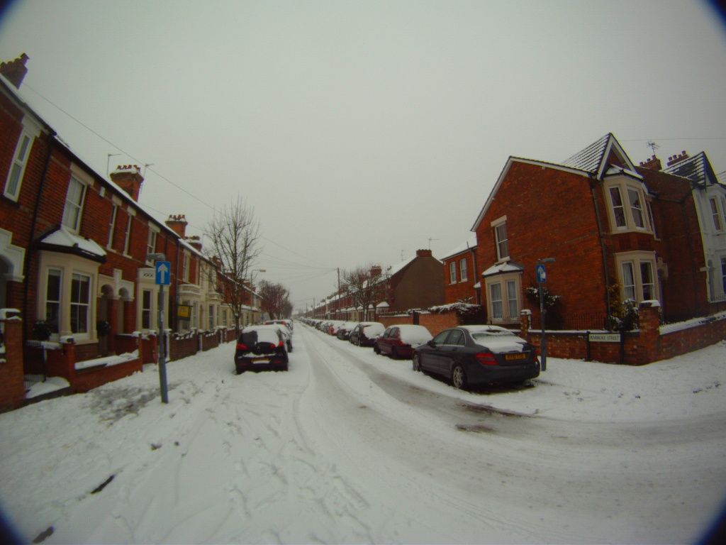 DogSnow5.jpg