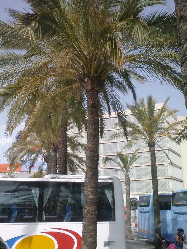 DSC00072.jpg