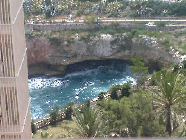 DSC00087.jpg