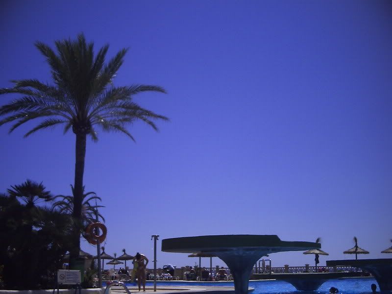 PICT0124.jpg