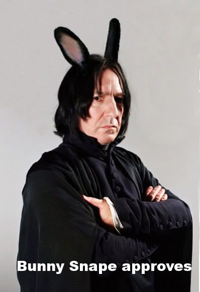 http://img.photobucket.com/albums/v618/avagoyle/bunnysnapeapproves2.jpg