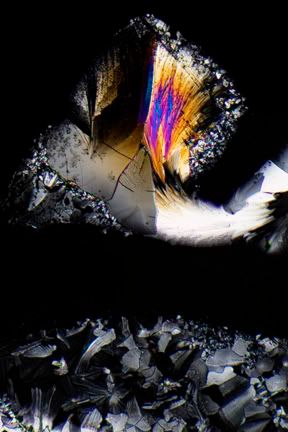 photomicrographytartaricacid004pola.jpg