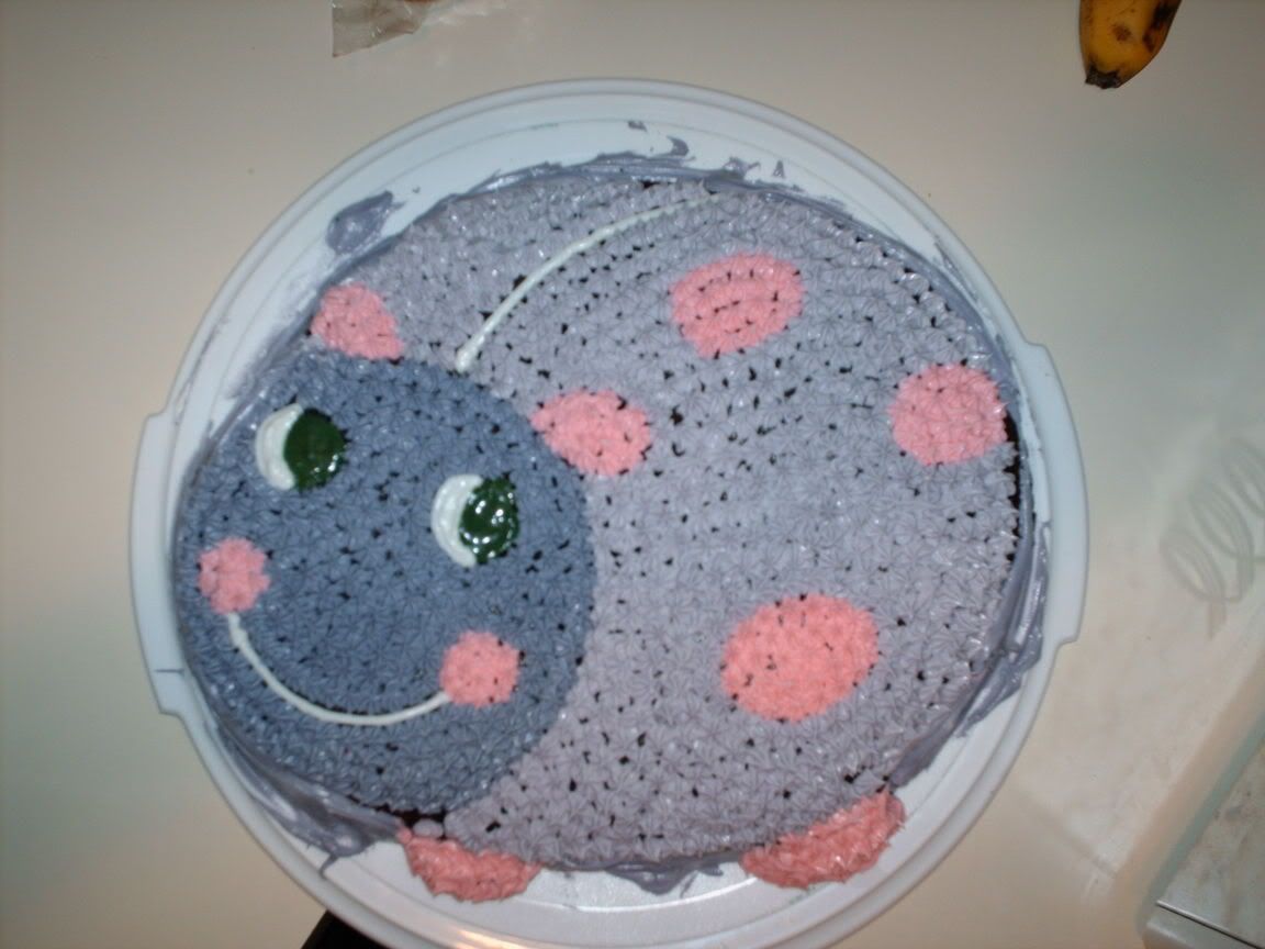 Bug Cake Wilton Pan