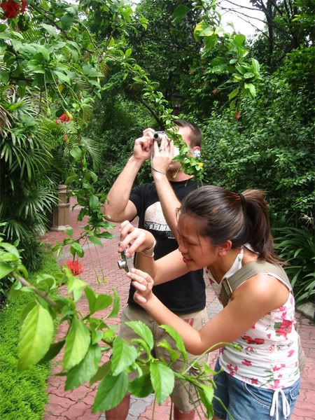 Image hosted by Photobucket.com