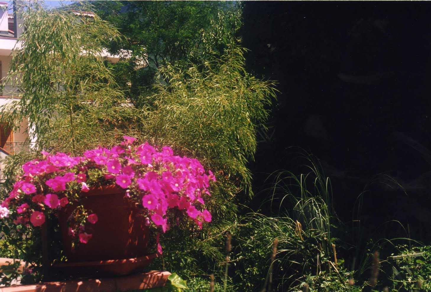 giardino003.jpg