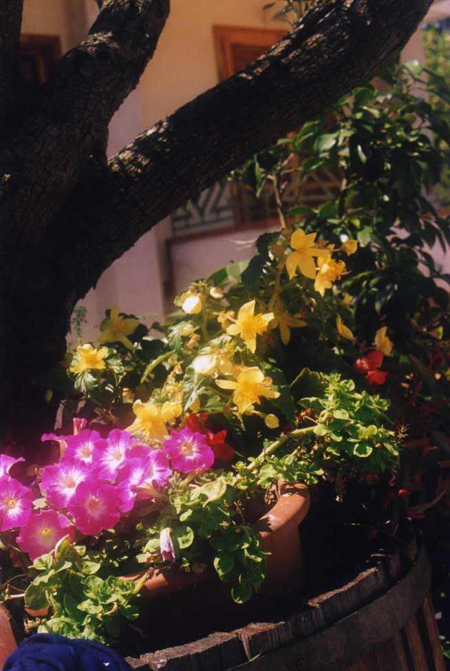 giardino006.jpg