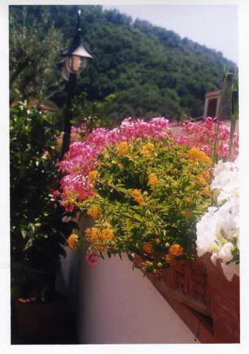 giardino007.jpg