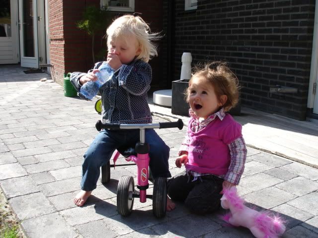 DSC00035.jpg