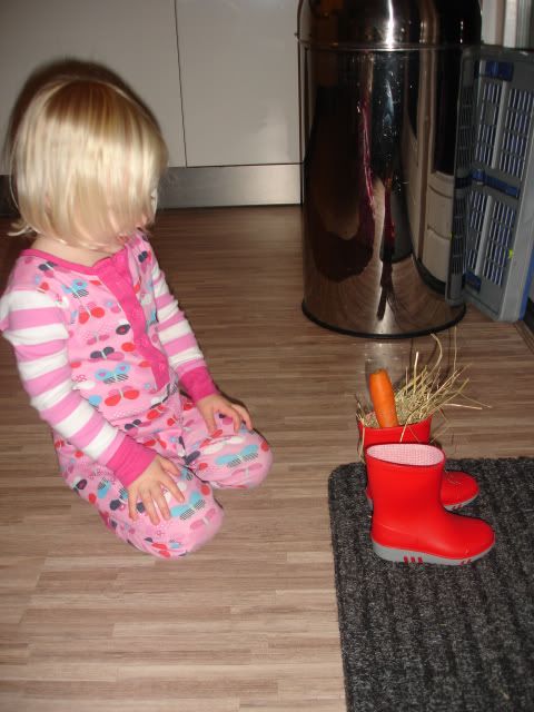 DSC01288.jpg