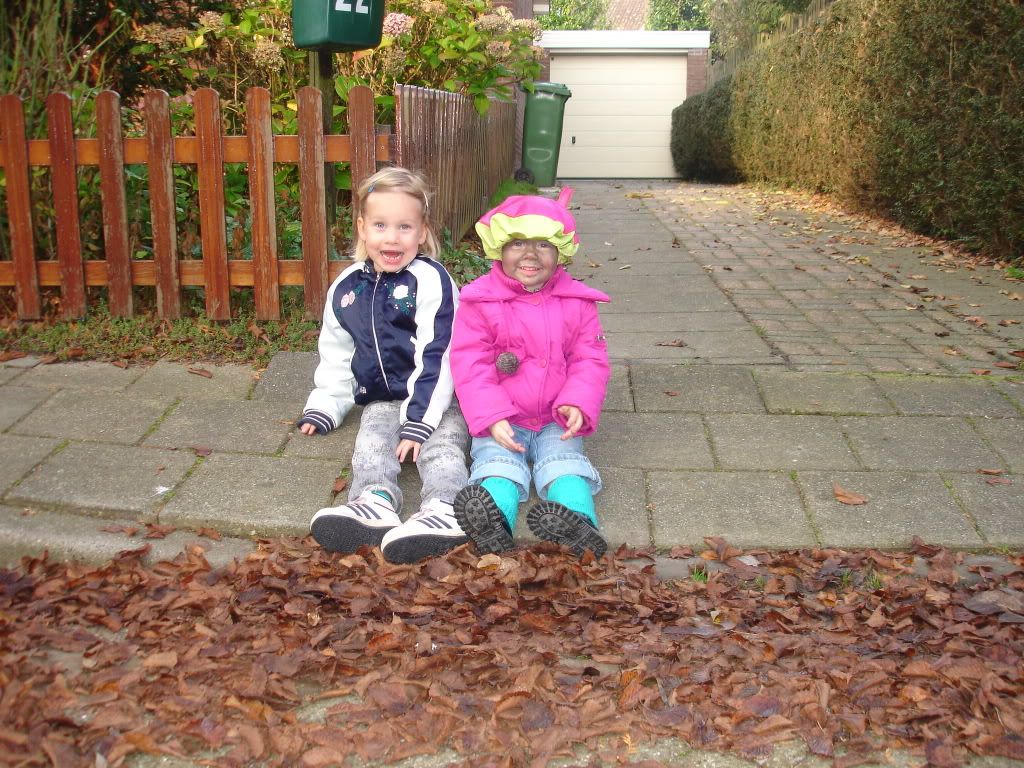 DSC01461.jpg