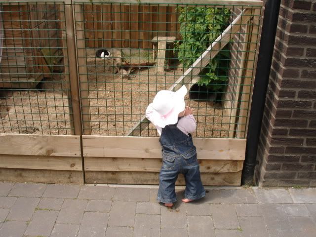 DSC06421-1.jpg