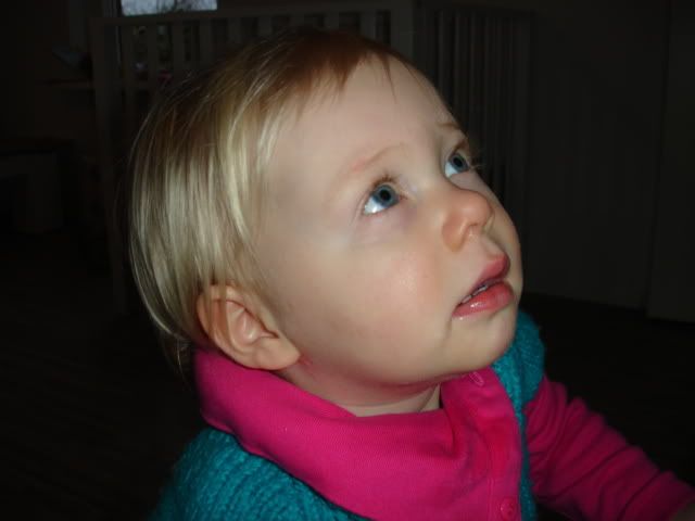 DSC09185.jpg