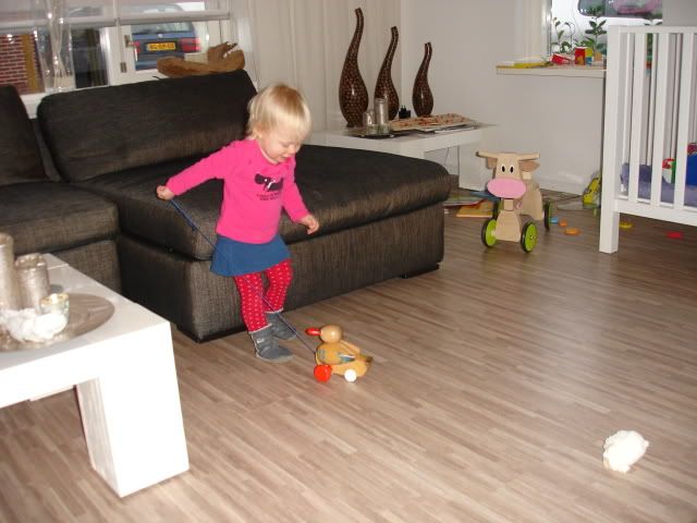 DSC09239.jpg