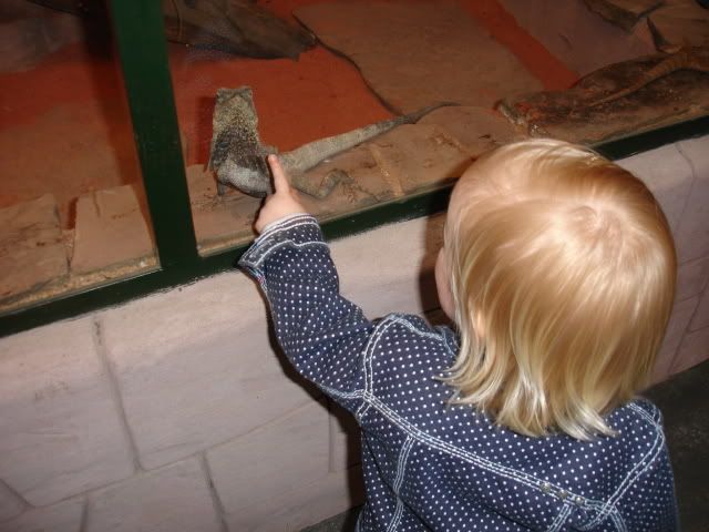 DSC09965-1.jpg