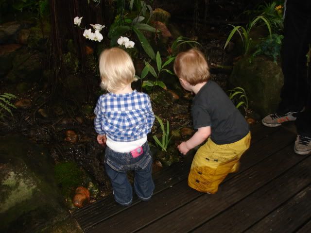 DSC09975-1.jpg