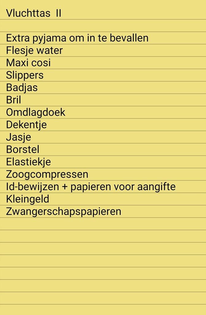 Vluchttas%20II.jpg