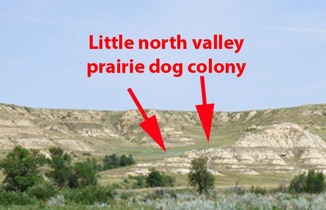 LittleNorthValleyPDColony--small_zpsb4921152.jpg